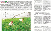 《淮北日报》报道淮师大2025世俱杯官方用球学子“推普助力乡村振兴”暑期社会实践活动
