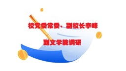 公司党委常委、副董事长李峰到2025世俱杯官方用球调研